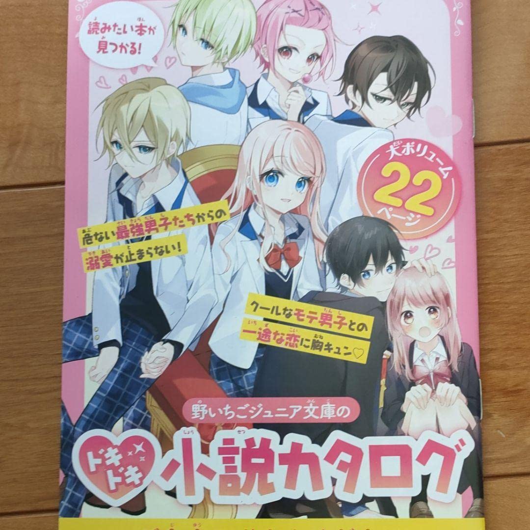 Amazon.co.jp: 野いちごジュニア文庫 : おもちゃ
